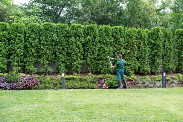 Best Pest Control for Lawns  in Lampeter, PA